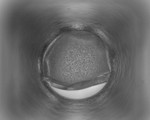 X0000070170597200606162058