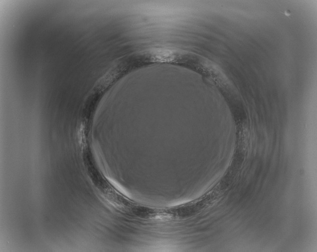 X0000070170598200606162058