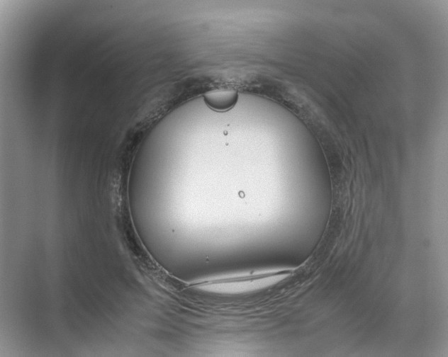 X0000070170599200606162058