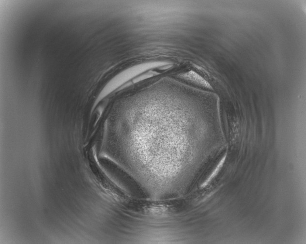 X0000070170600200606162058