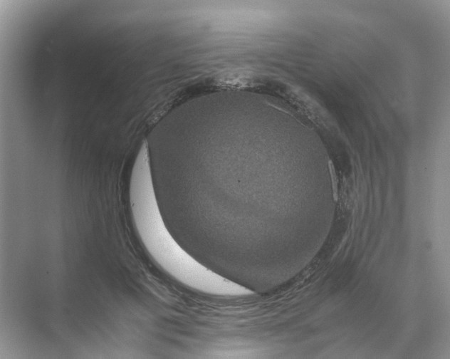 X0000070170601200606162058