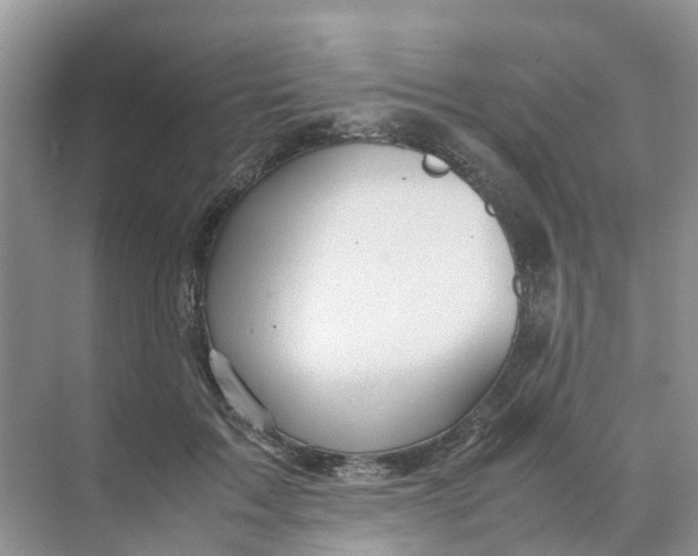 X0000070170603200606162058