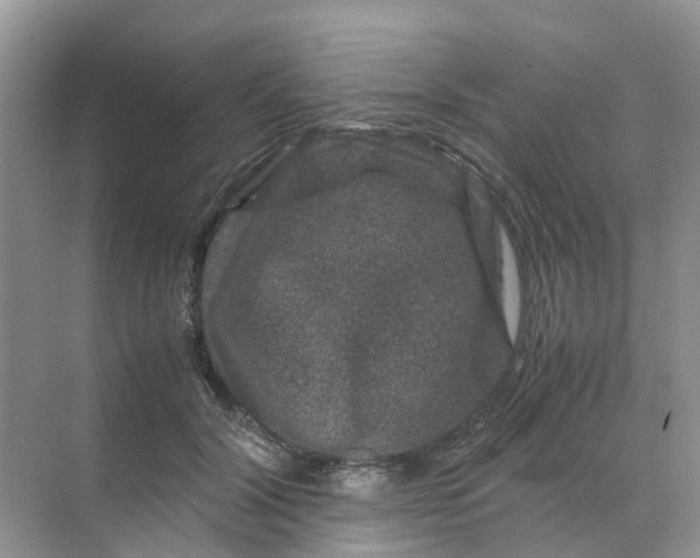 X0000070170604200606162058