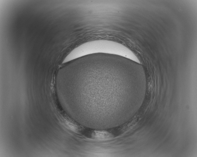 X0000070170605200606162058