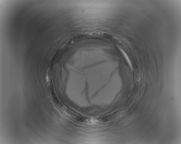 X0000070170607200606162058