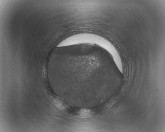 X0000070170609200606162058