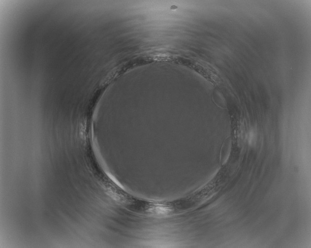 X0000070170610200606162058