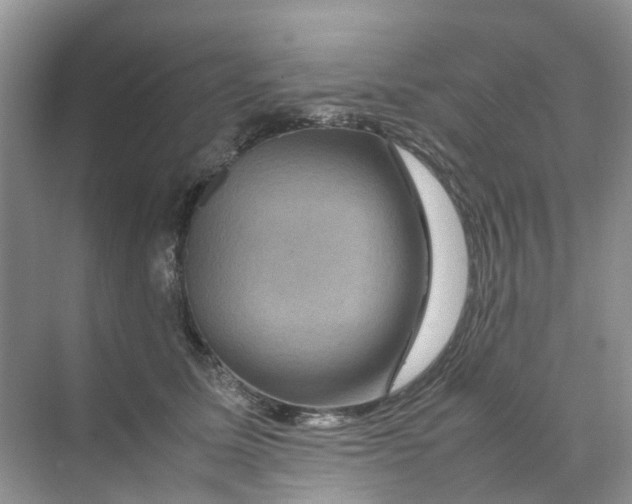 X0000070170611200606162058