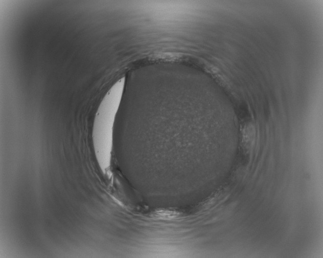 X0000070170617200606162058