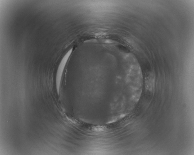 X0000070170618200606162057