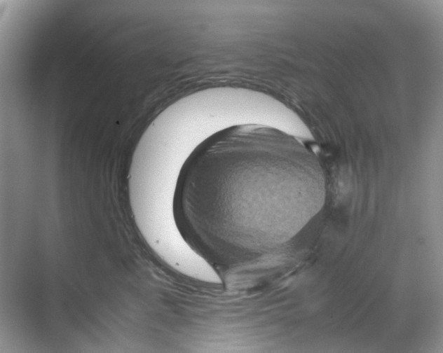 X0000070170619200606162057