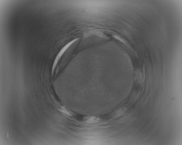 X0000070170621200606162057