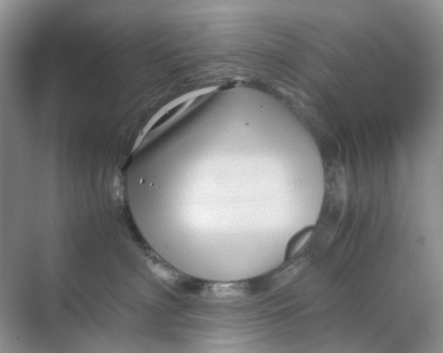 X0000070170622200606162057