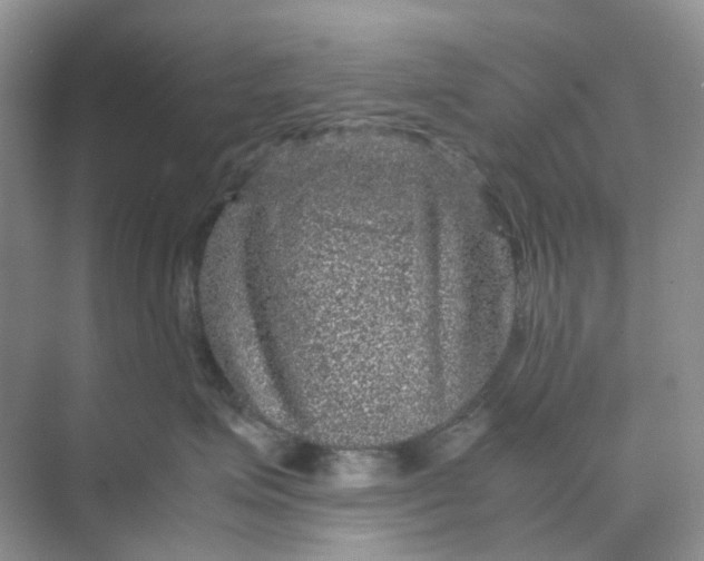 X0000070170623200606162057