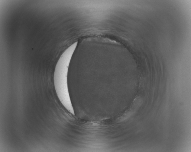 X0000070170624200606162057