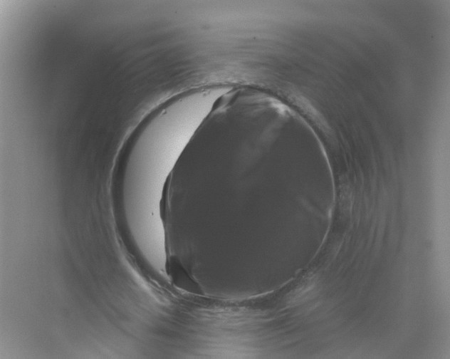 X0000070170626200606162057