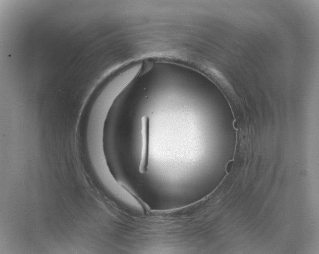 X0000070170628200606162057