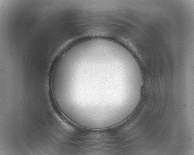 X0000070170629200606162057