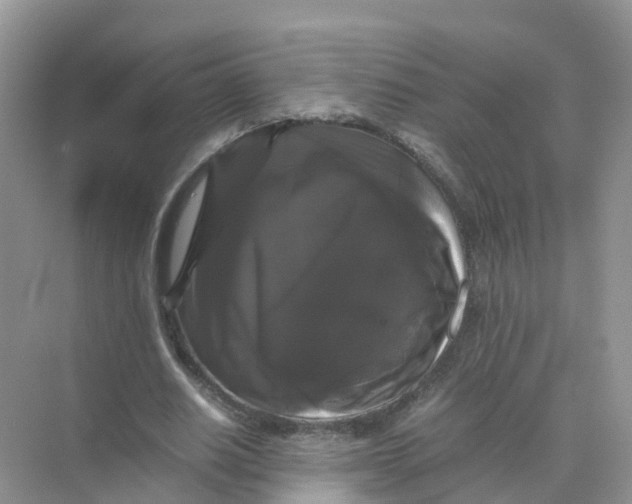 X0000070170630200606162057