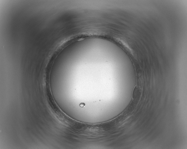 X0000070170631200606162057