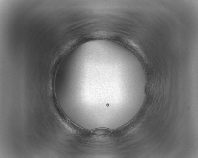 X0000070170633200606162057