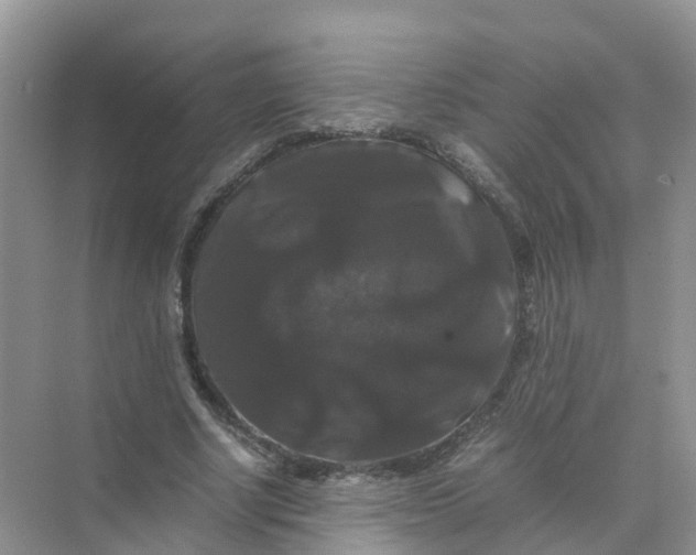 X0000070170634200606162057