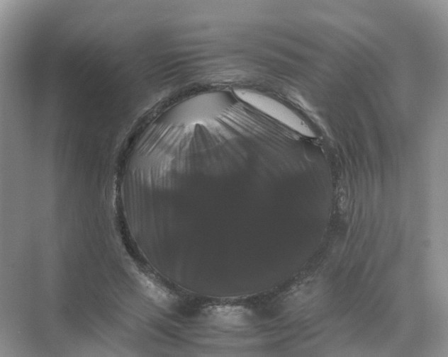 X0000070170637200606162057