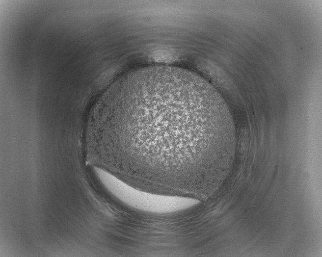 X0000070170639200606162057