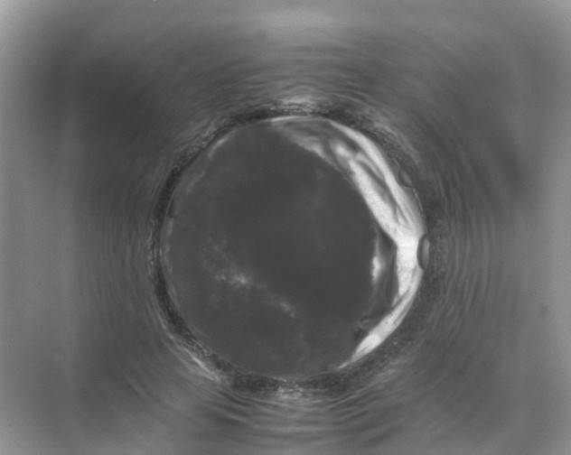 X0000070170641200606162057