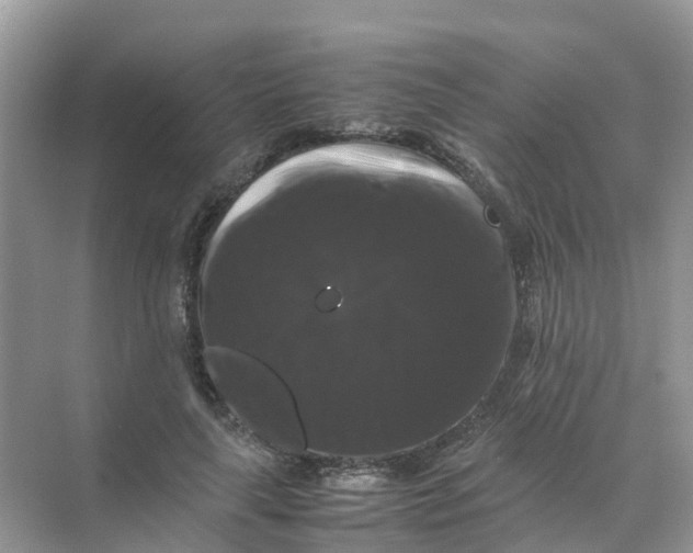 X0000070170643200606162057