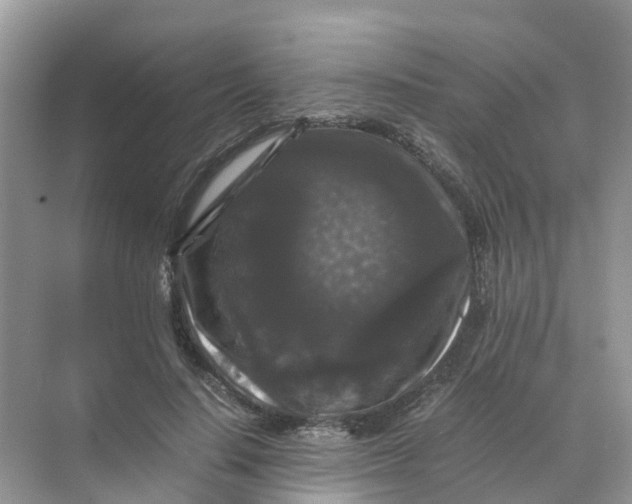 X0000070170644200606162057