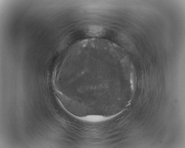 X0000070170647200606162057