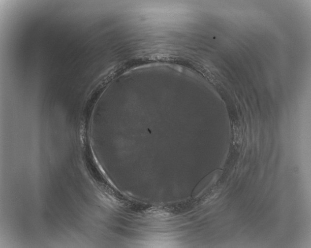 X0000070170648200606162057