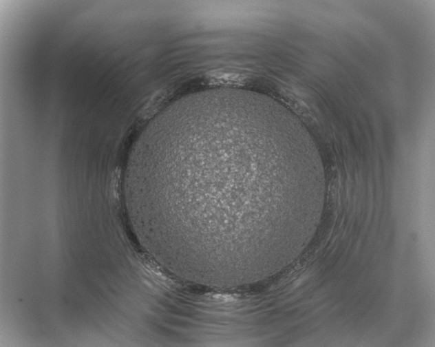 X0000070170649200606162057