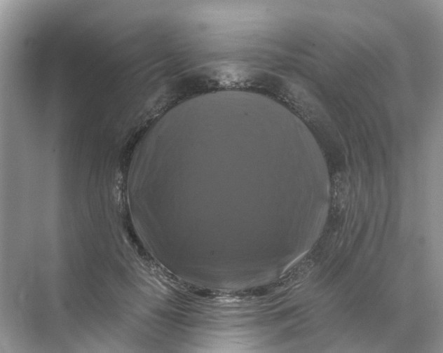 X0000070170650200606162057