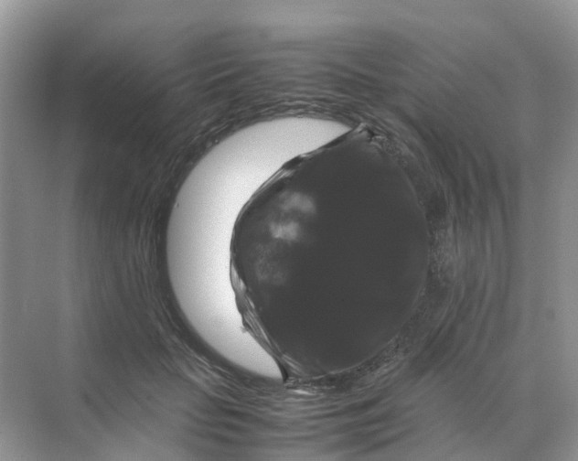 X0000070170653200606162057