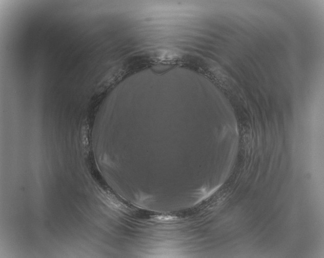 X0000070170654200606162057