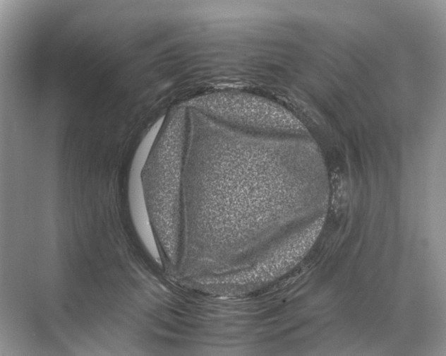 X0000070170655200606162057