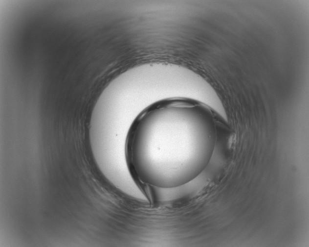 X0000070170656200606162057