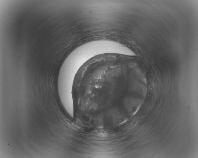 X0000070170658200606162057