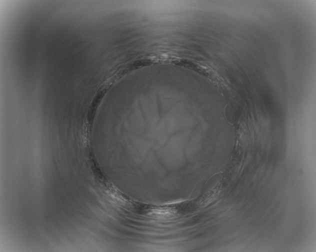 X0000070170659200606162057