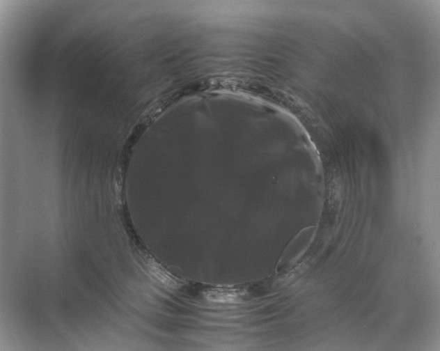 X0000070170661200606162057