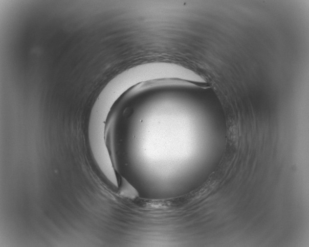 X0000070170662200606162057