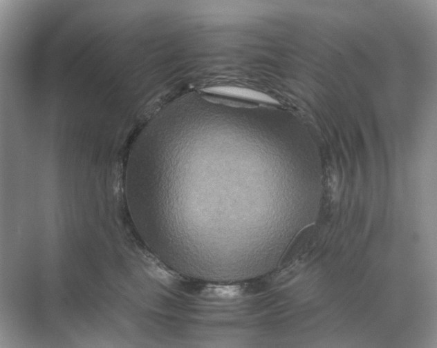 X0000070170665200606162057