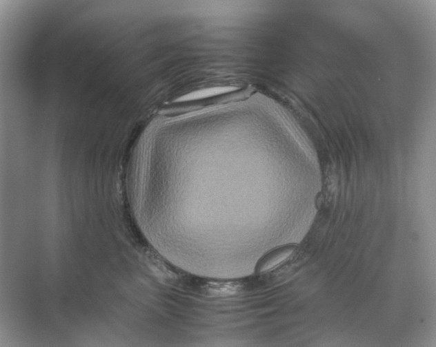 X0000070170667200606162057