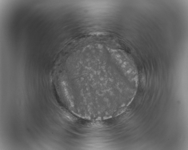 X0000070170668200606162057