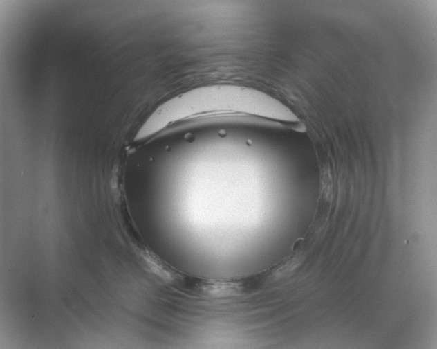 X0000070170670200606162057