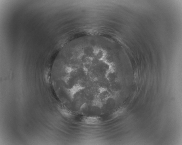 X0000070170671200606162057