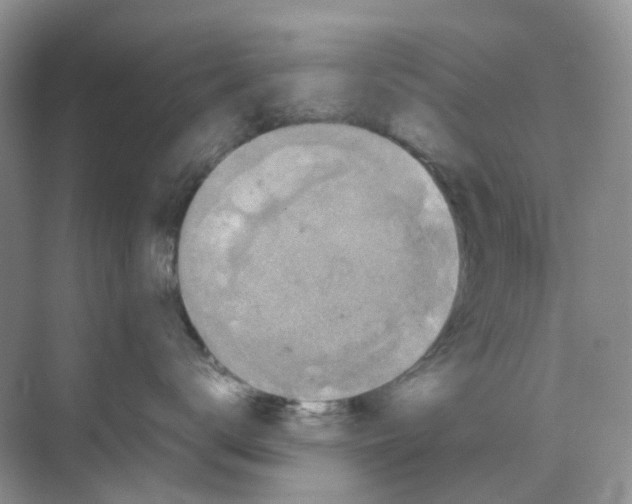 X0000070170672200606162057