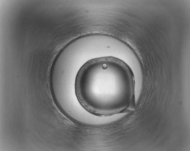 X0000070170673200606162057